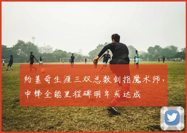 约基奇生涯三双总数剑指魔术师,中锋全能里程碑明年或达成